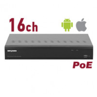 RK1116-P