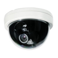 DiGiVi CD3-CH2-VFA12 DNR